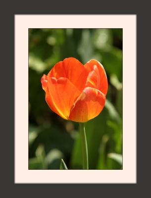 IMG_6766{Q} F.jpg
