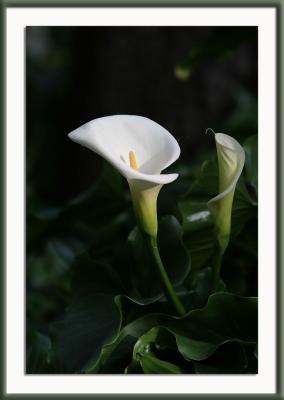 ... two to tango