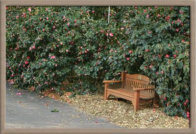 roadside respite