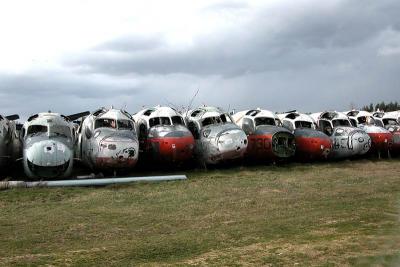 The Airplane Graveyard