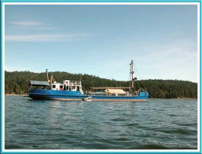 Mystery ship at anchor.