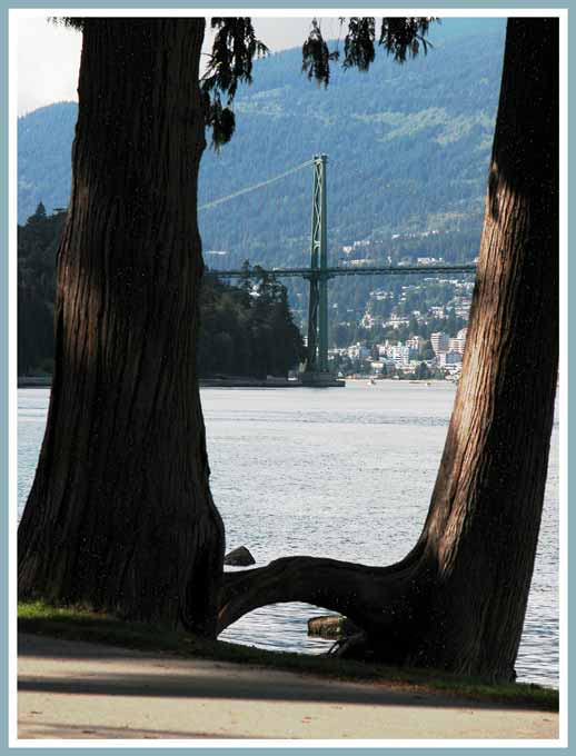 South Tower, Lions Gate Bridge.