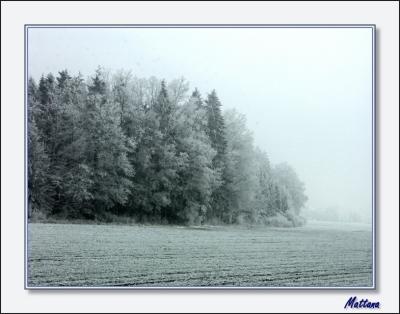 Frosty day