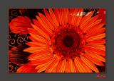 Painted Flower