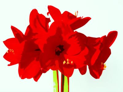 PopArtAmaryllis