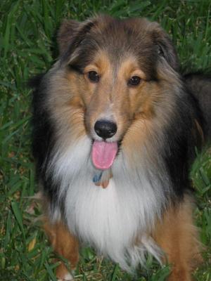 Duncan at 1 year
