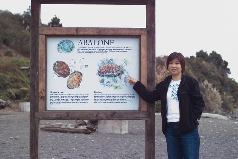 IMG02717.jpg