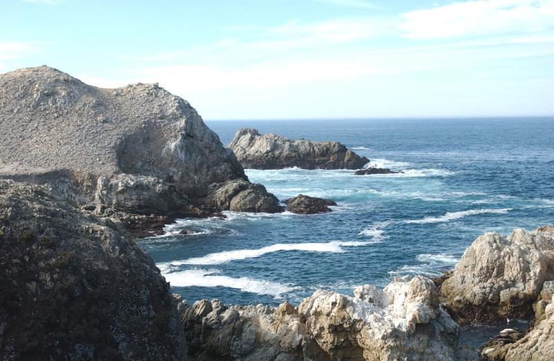 DSC_0766.jpg