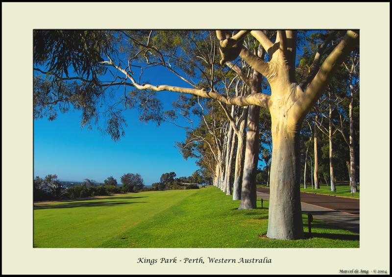 Kings Park 1