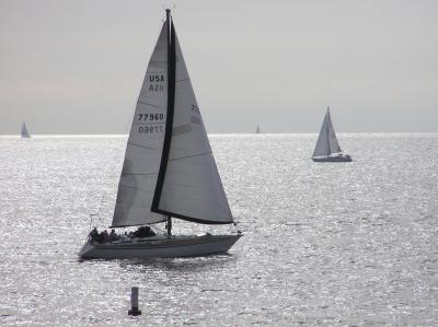Sail Boat