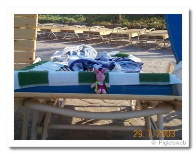 u41/meeezer/medium/26584038.Pigletbythepoolfortheweb.jpg