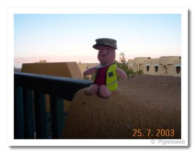 u41/meeezer/medium/26584041.Pigletonhotelroombalcony2fortheweb.jpg