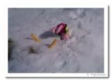 Piglet has a fall whilst skiing off-piste-fortheweb.jpg