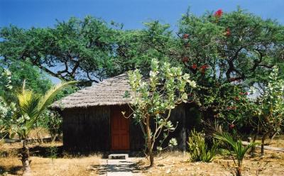 our hut on Paradise Island