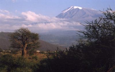 Kilimanjaro and baobab