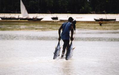 fishing at low tide