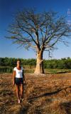 I like baobab trees