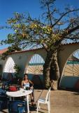 breakfast by baobab tree