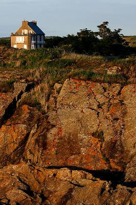 Lonesome house (23/08)