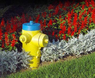 Hydrant & Fire Flowers