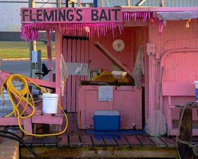 Fleming's Bait Stand 4544