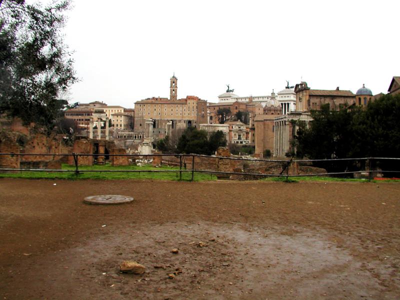 rP2180010NikEL.jpg