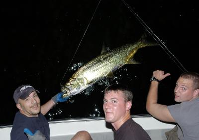 hoby and ronnie and mike landing 60lb tarpon from above 08-29-04.jpg