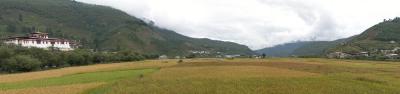 DSCN5813-1.jpg
