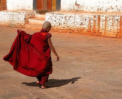 young monk