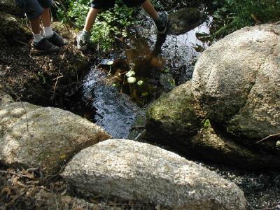 See my twin grandson's standing on the side of the stream?...