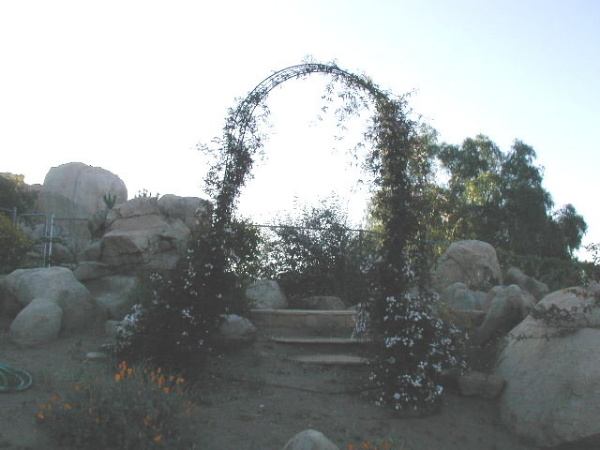 Foggy morning...the path leading up under the arch onto the small patio...sweet smelling Jasmine on the arch...