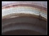 Dye Tub Rainbow