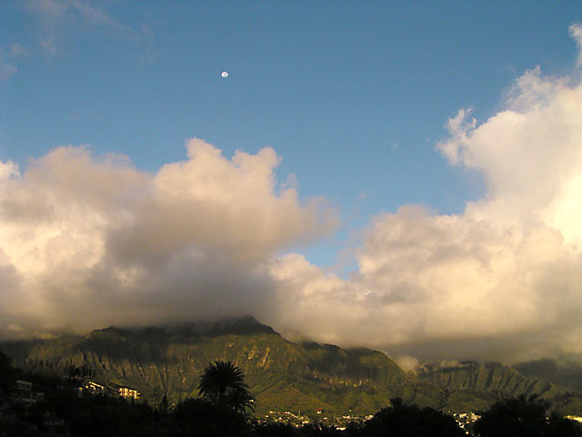 P9016078.jpg