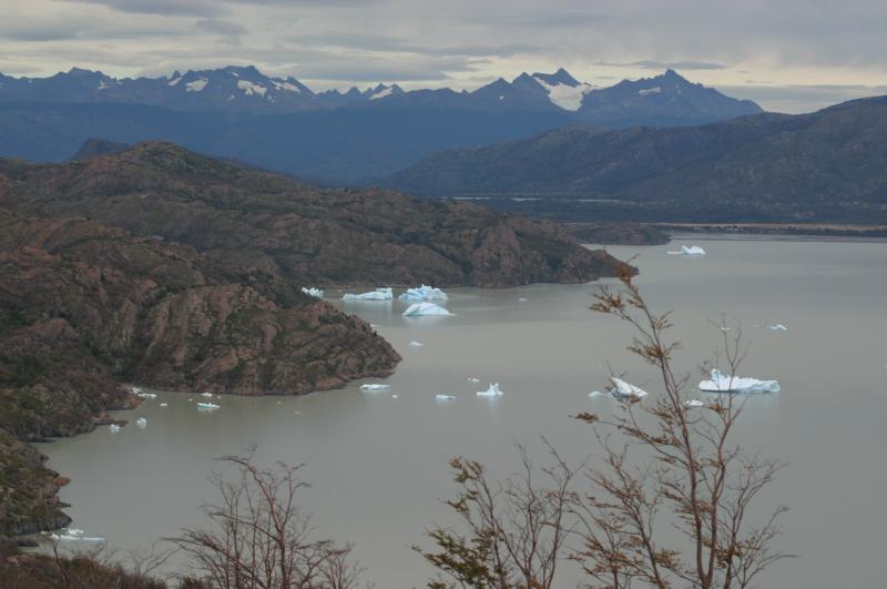 Small icebergs floating downstream