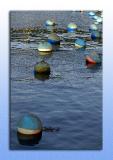 Buoys will be bouys!