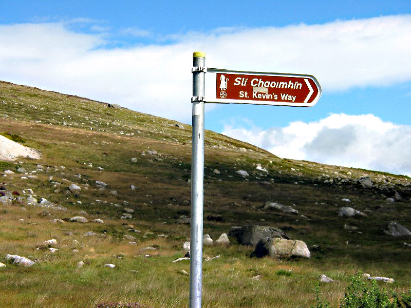   St. Kevin's signpost on the Mountain

: )

Wicklow Gap