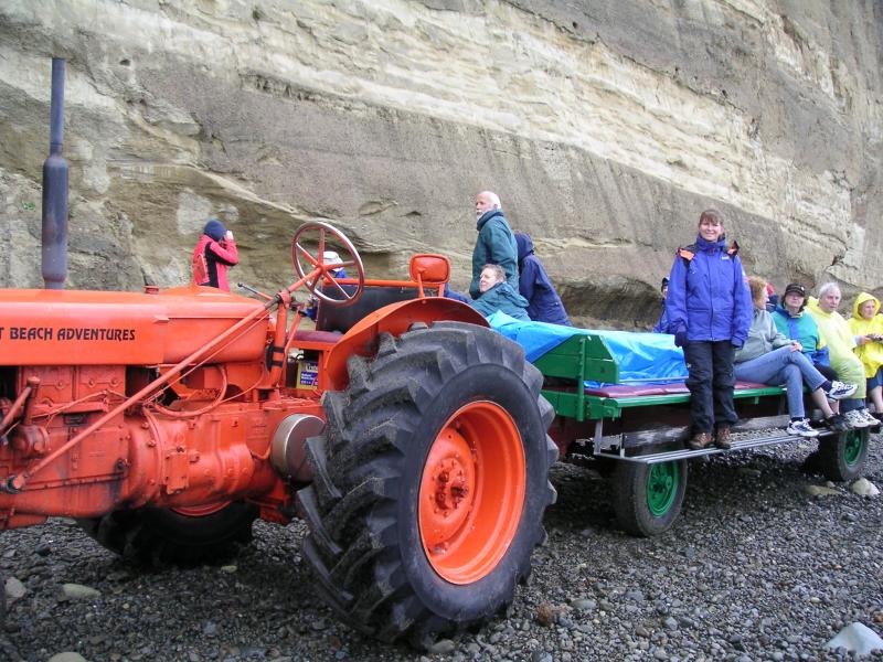 Napier and Cape Kidnappers