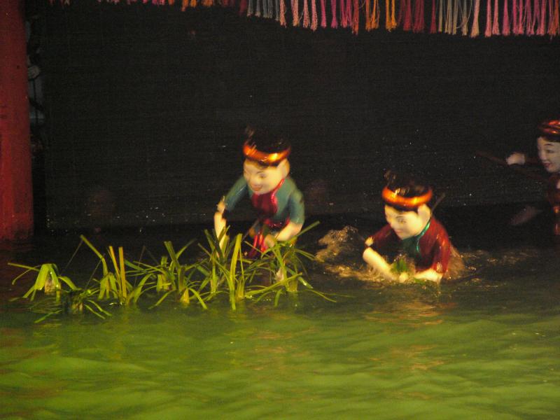 Planting rice plants