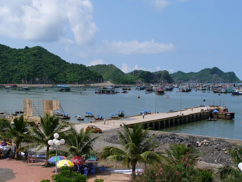 << Cat Ba Harbour ...