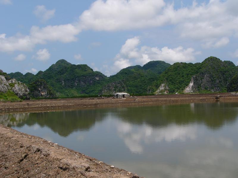 Prawn farms