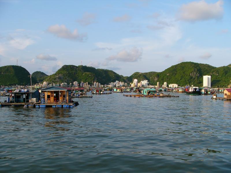 The harbour from the water