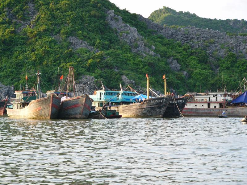 Fishing boats