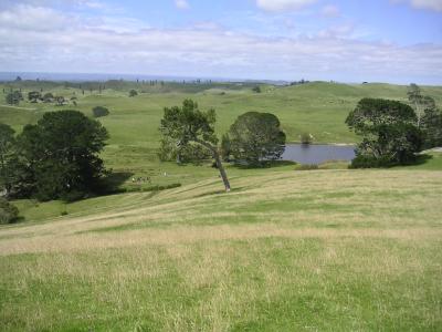 Rolling green hills