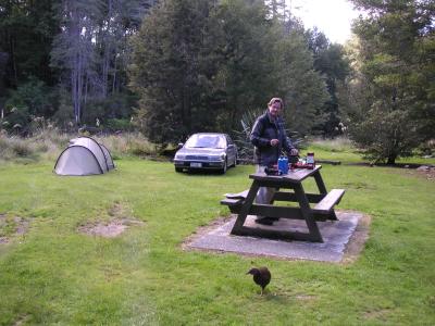 Campsite at Reefton