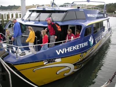 Our whalewatching boat