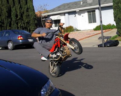 alby_wheelie2.jpg