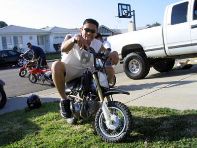 alfred-xr50-3.jpg