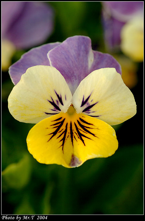 Crop_DSCF9781.jpg