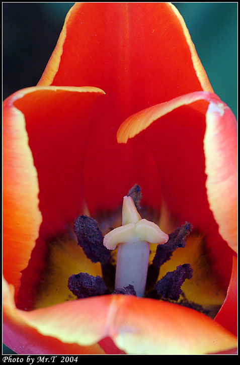 Crop_DSCF9794.jpg