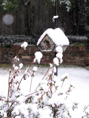 Snow at our house